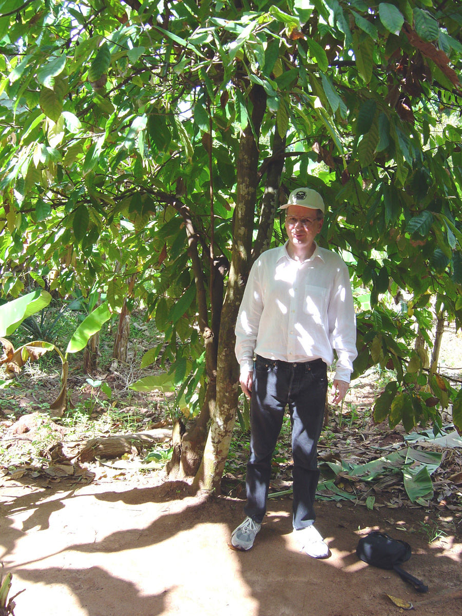 Spice Tour, Chocolate Tree