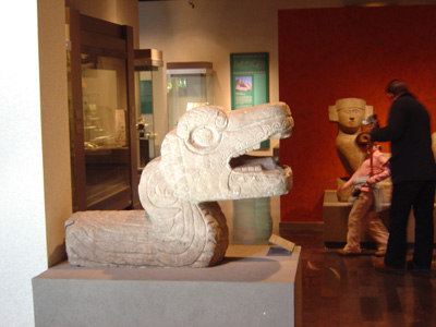 Mayan serpent head, Museum of Anthropology, Mexico 2004