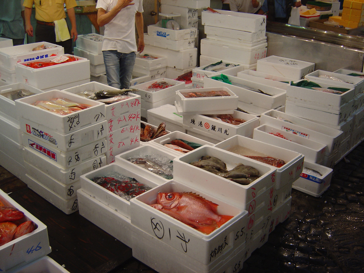 Tokyo 2005, Tokyo fish market