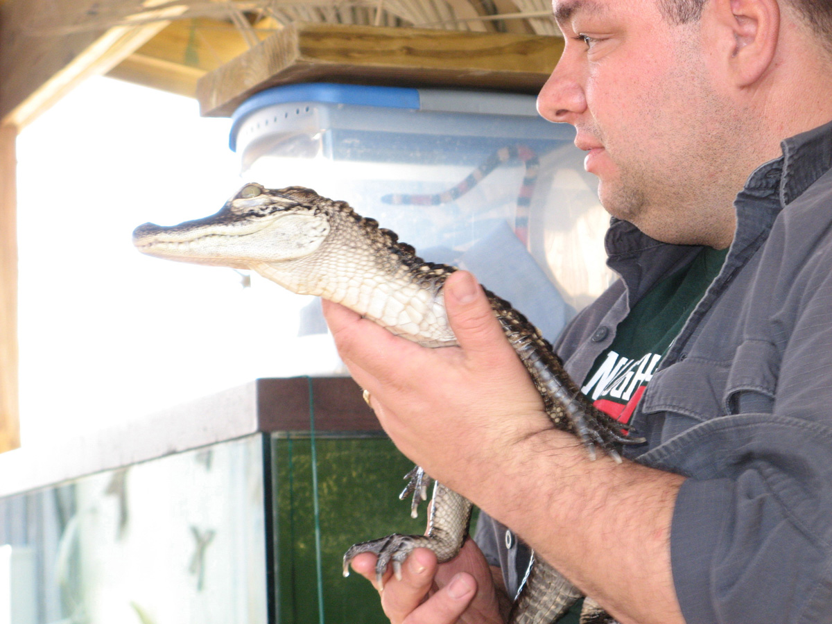 Swamp & Bayou Tour, Katrina Survivor Stayed at fire station, acquired liking for chili and learned to wave its paws.
