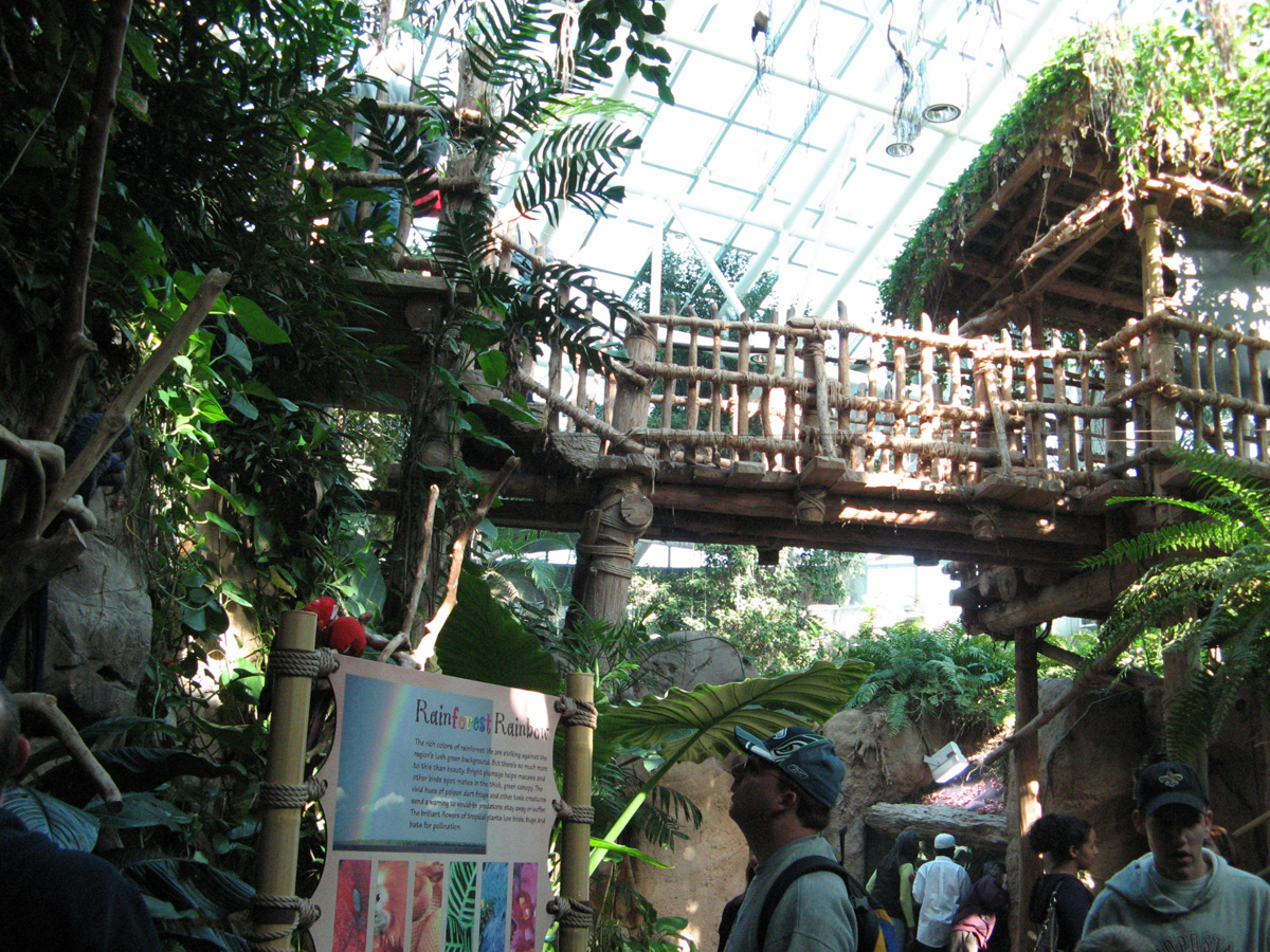 Audubon Aquarium, Amazonia at Audubon Aquarium