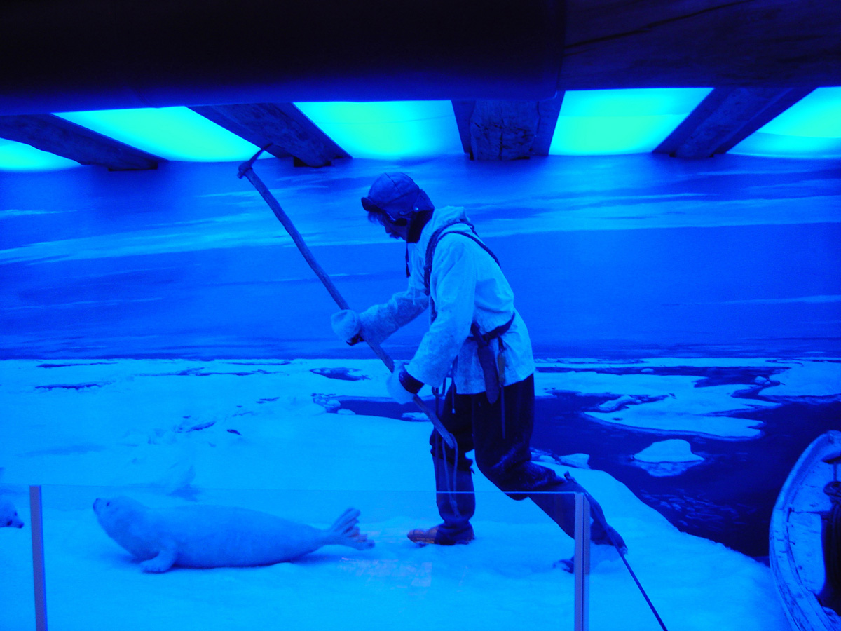 Tromso 2006, Polar Museum