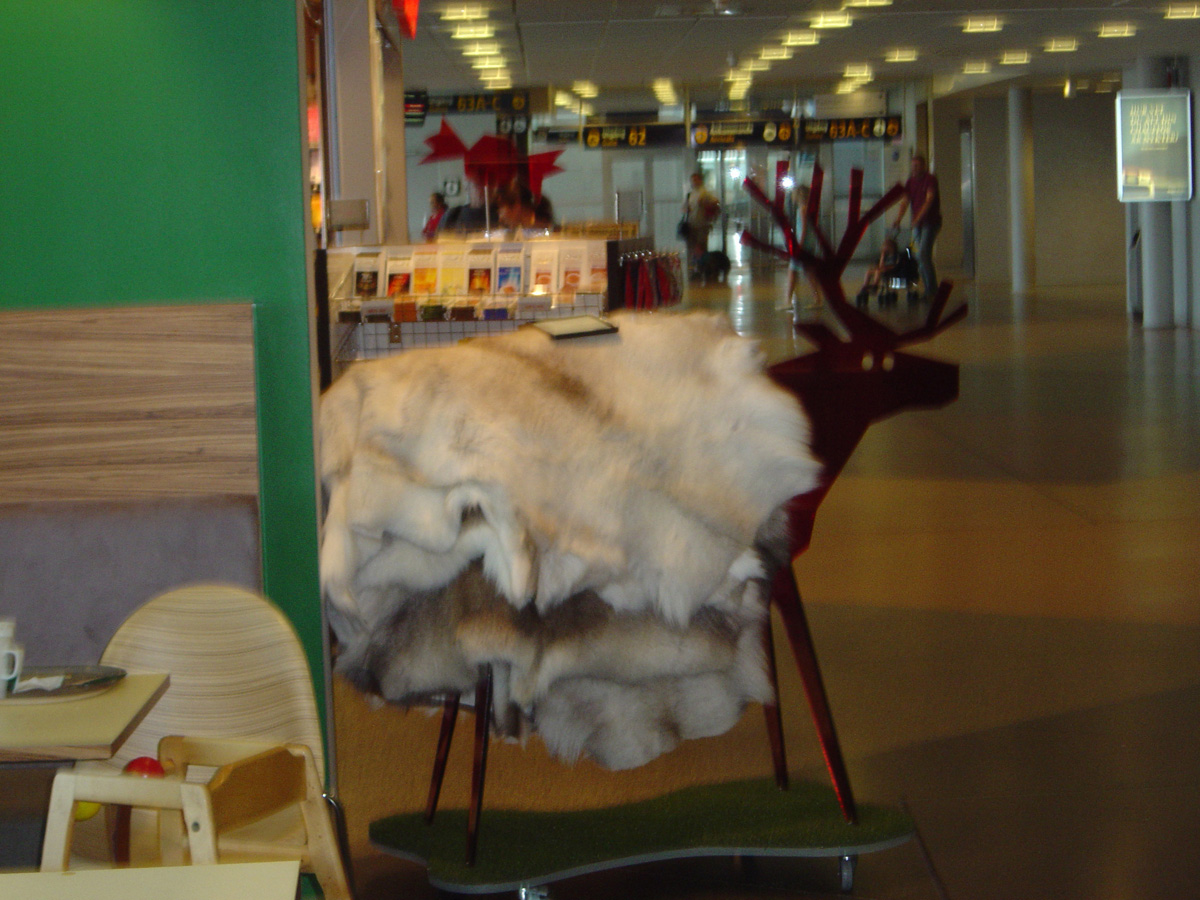 Stockholm 2006, Reindeer at the airport