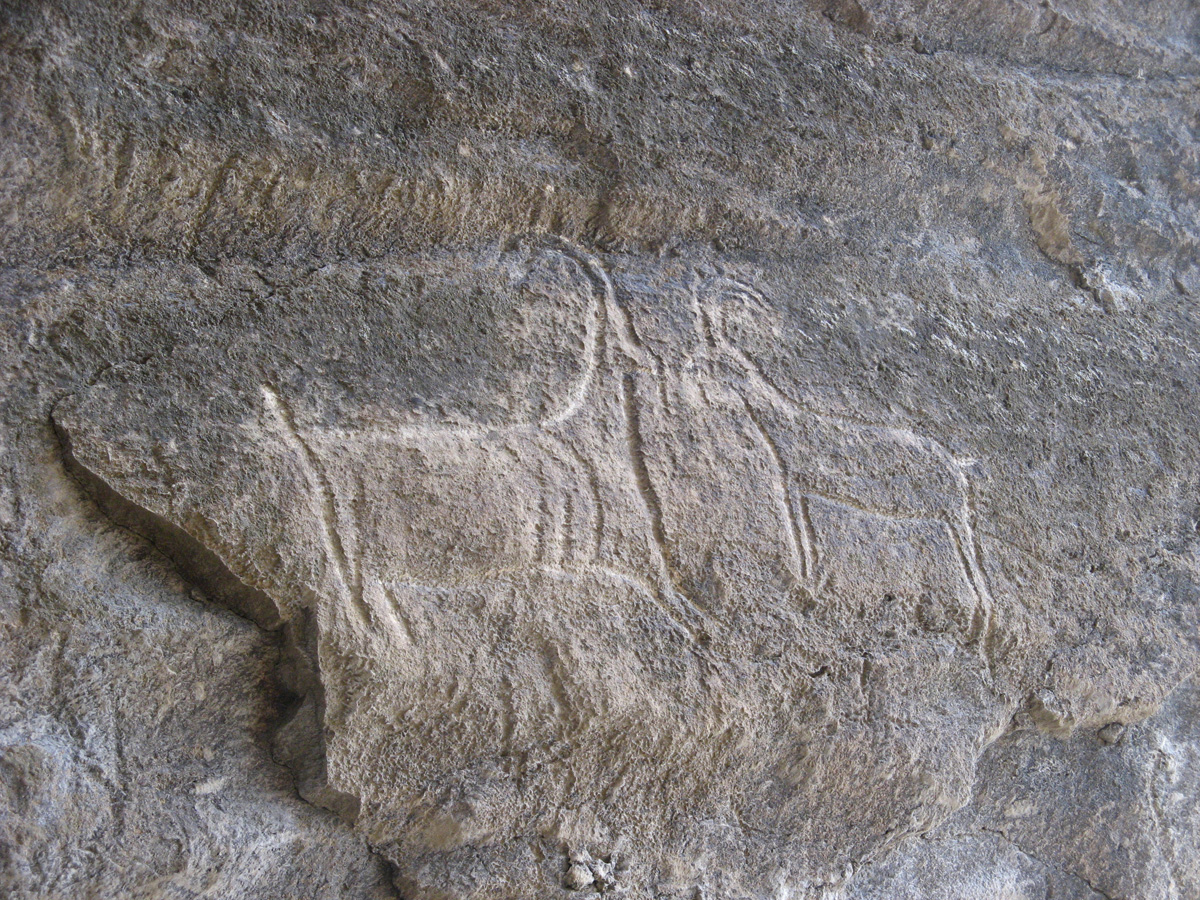 Azerbaijan 2007, Qobustan: Petroglyphs