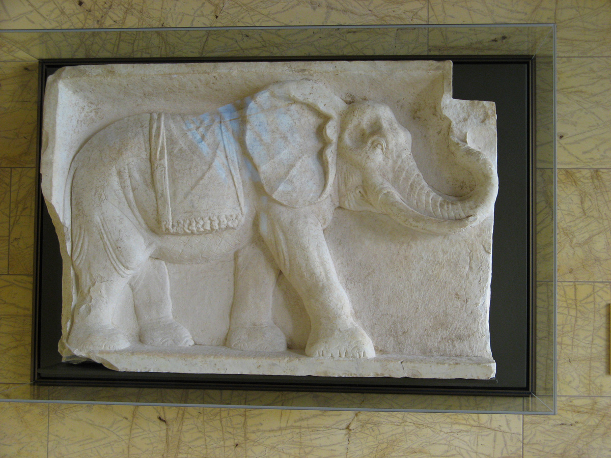 Getty Villa, Elephant