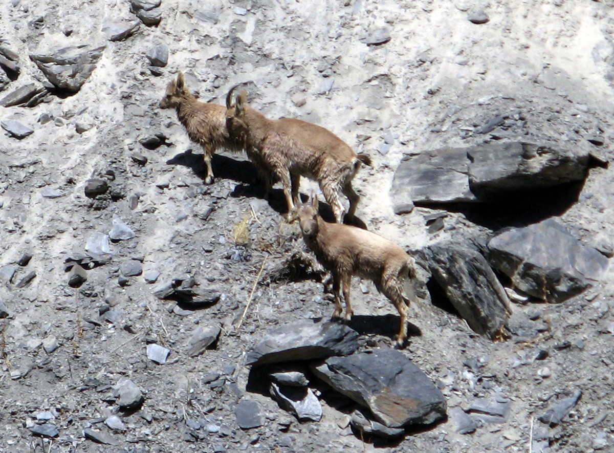 Khunjerab to Islamabad