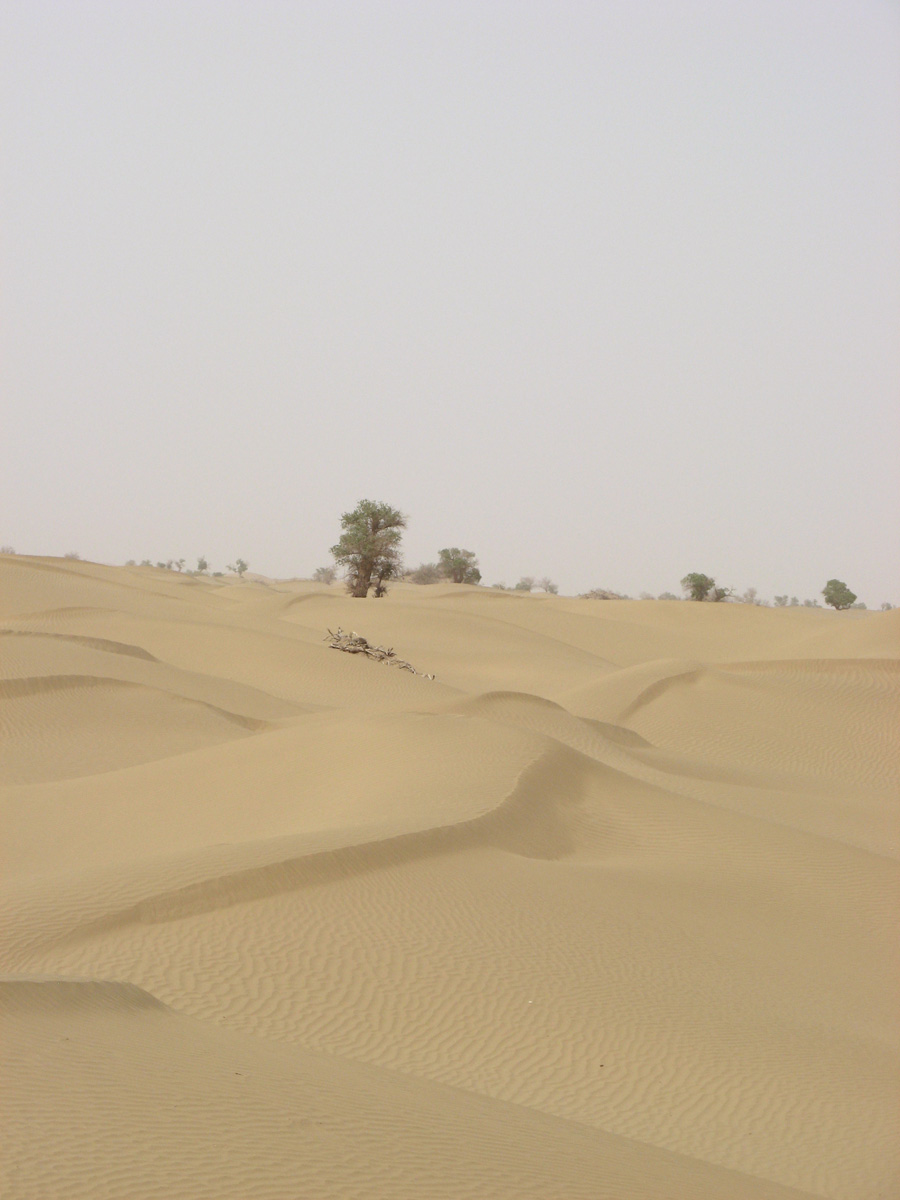 Across the Taklmakan, Taklamakan Outer Desert