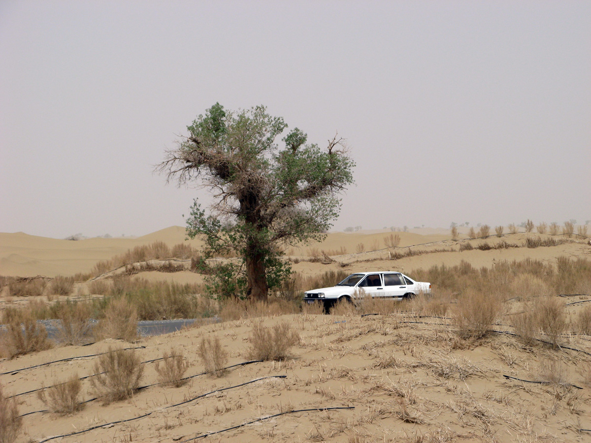 Across the Taklmakan, Outer Taklmakan With our trusty VW Polo.