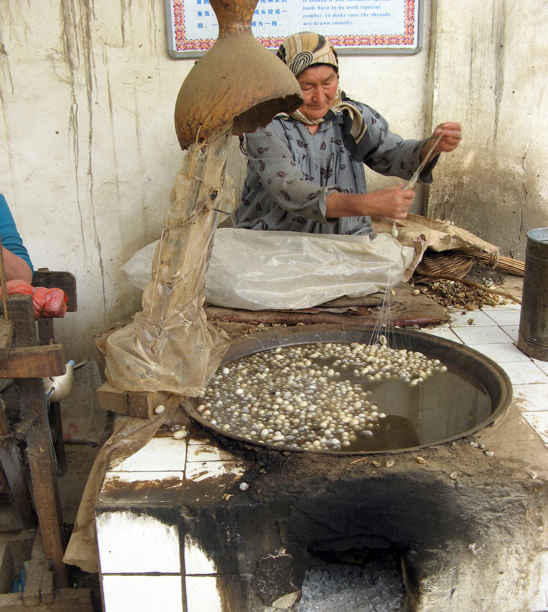 Niya - Hotan - Karghilik - Yarkan - Yengisar, Unwinding Silk Cocoons She keeps a supply of loose ends ready and then adds them into the line going to the spinning wheel on the left, so there are alwasy 3-4 coccons unwinding together.