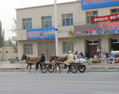 Niya, Niya - Hotan - Karghilik - Yarkan - Yengisar, Xinjiang 2008