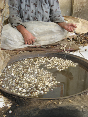 Unwinding Silk Cocoons In bubbling hot water., Niya - Hotan - Karghilik - Yarkan - Yengisar, Xinjiang 2008