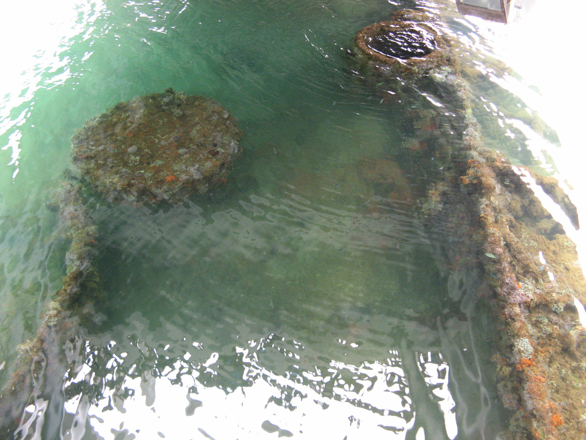 Hawaii 2008, USS Arizona