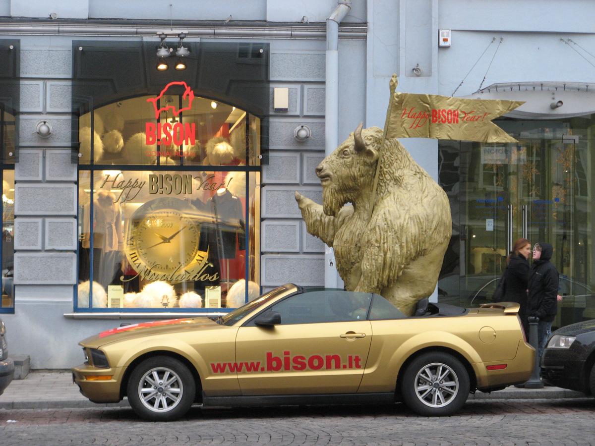 Vilnius 2008, Excellent Gratuitous Lithuanian Bison Bison is an Italian leather/fashion company.