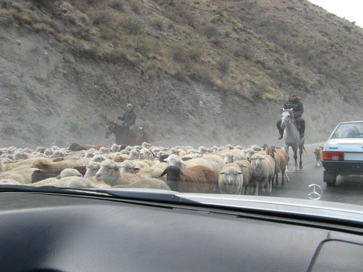 Bishkek to Osh