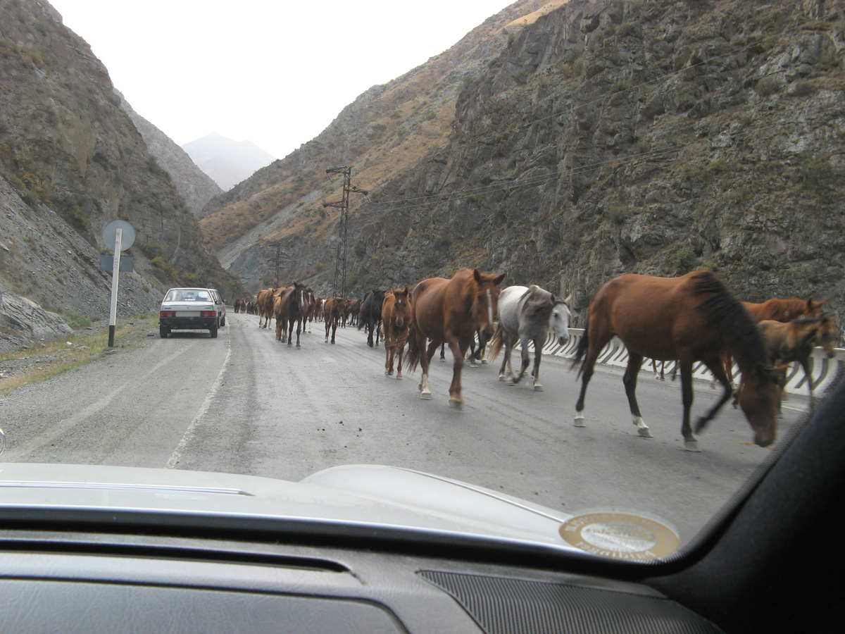 Bishkek to Osh