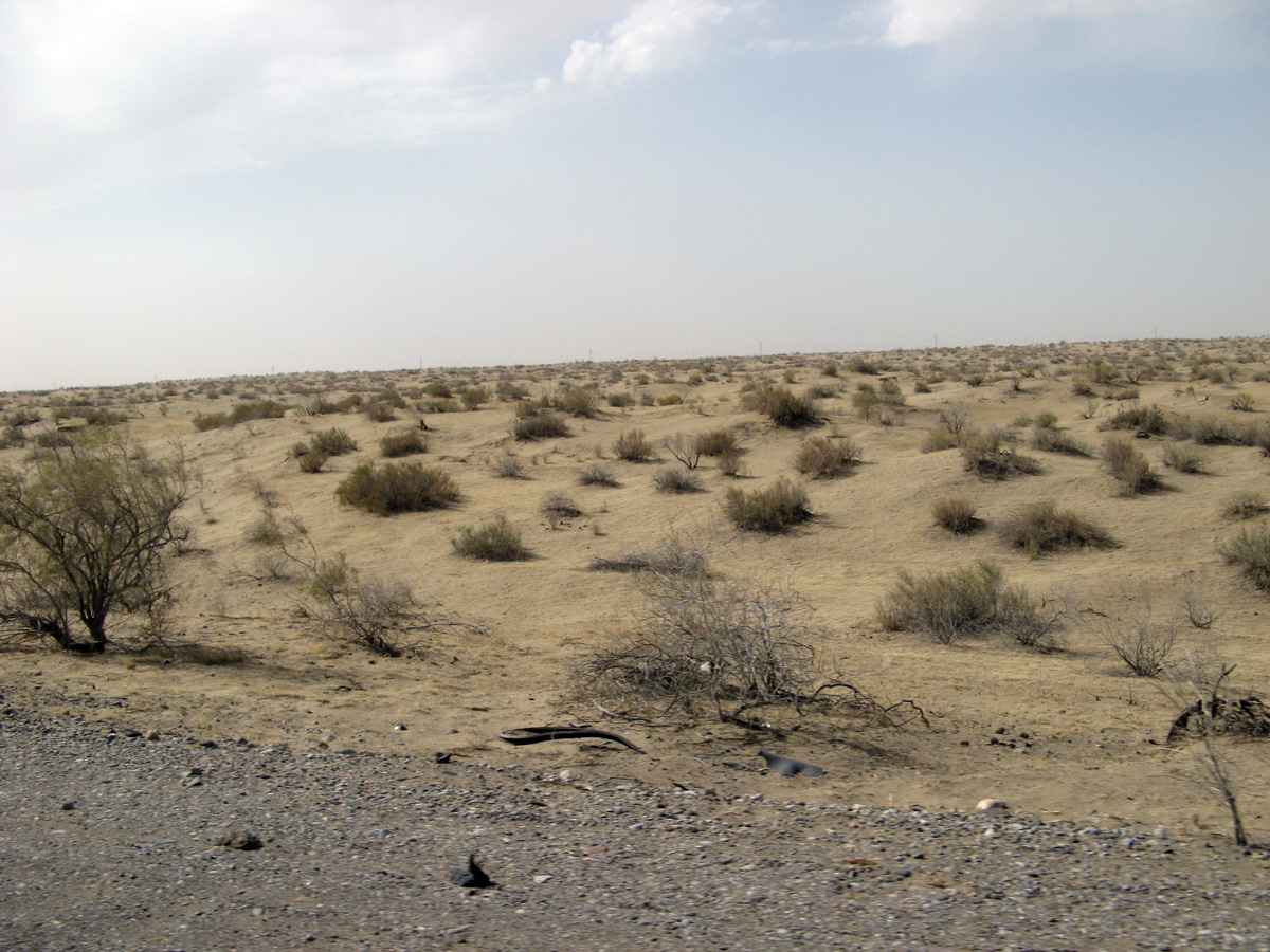 Merv, Bukhara to Merv