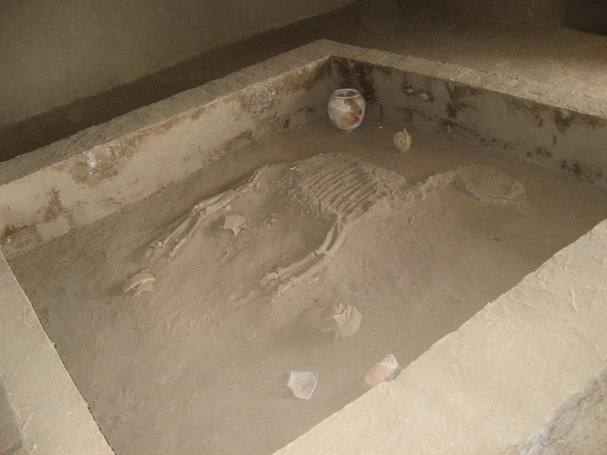 Gonur Depe, Horse Grave