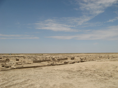 Gonur Depe Site, Turkmenistan 2008