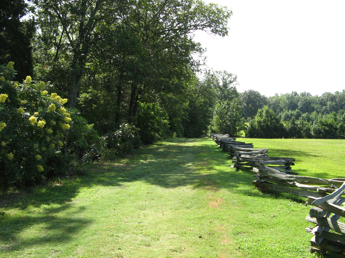 Shiloh, The Sunken Road