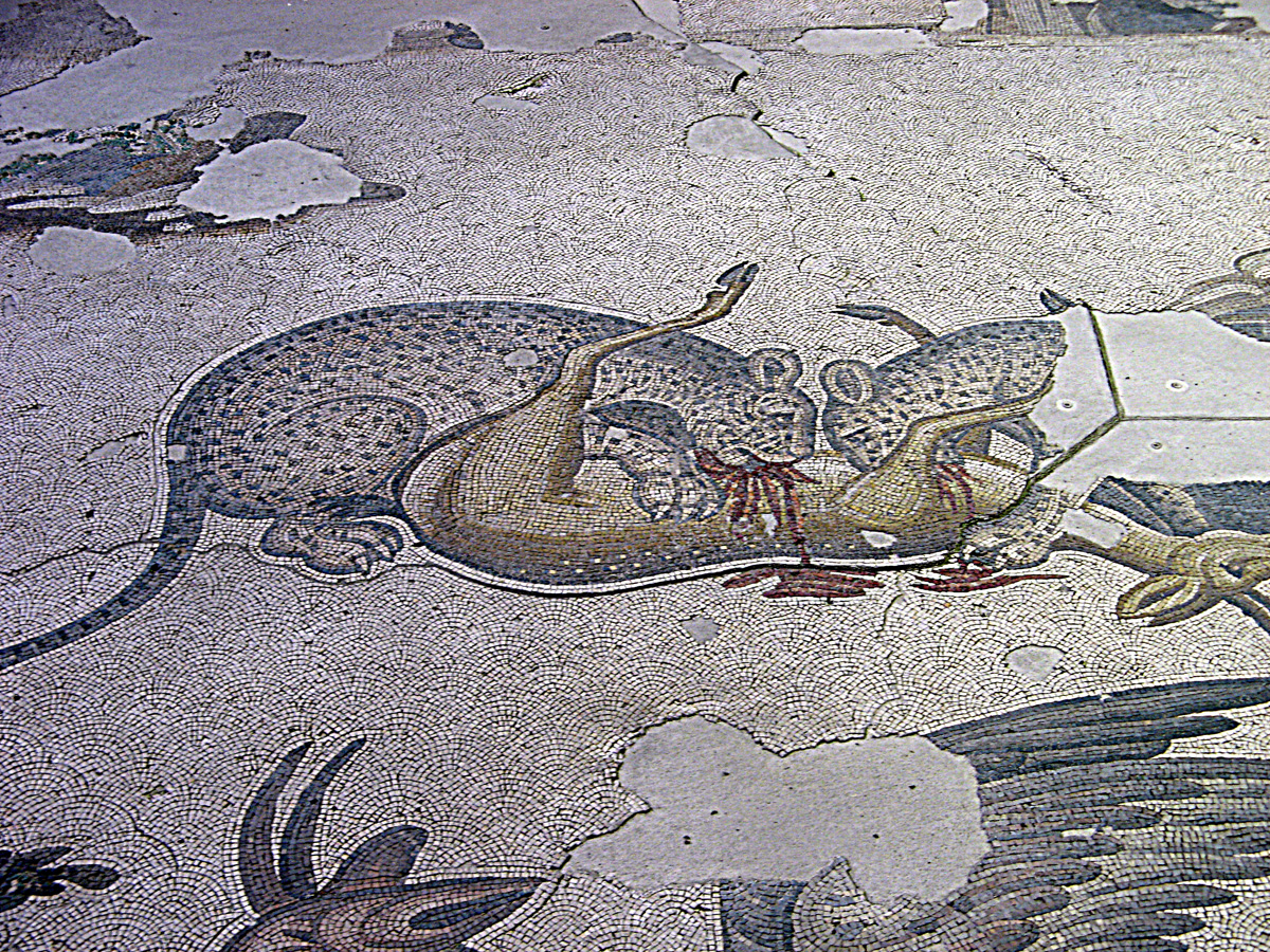 Great Palace Mosaic Museum