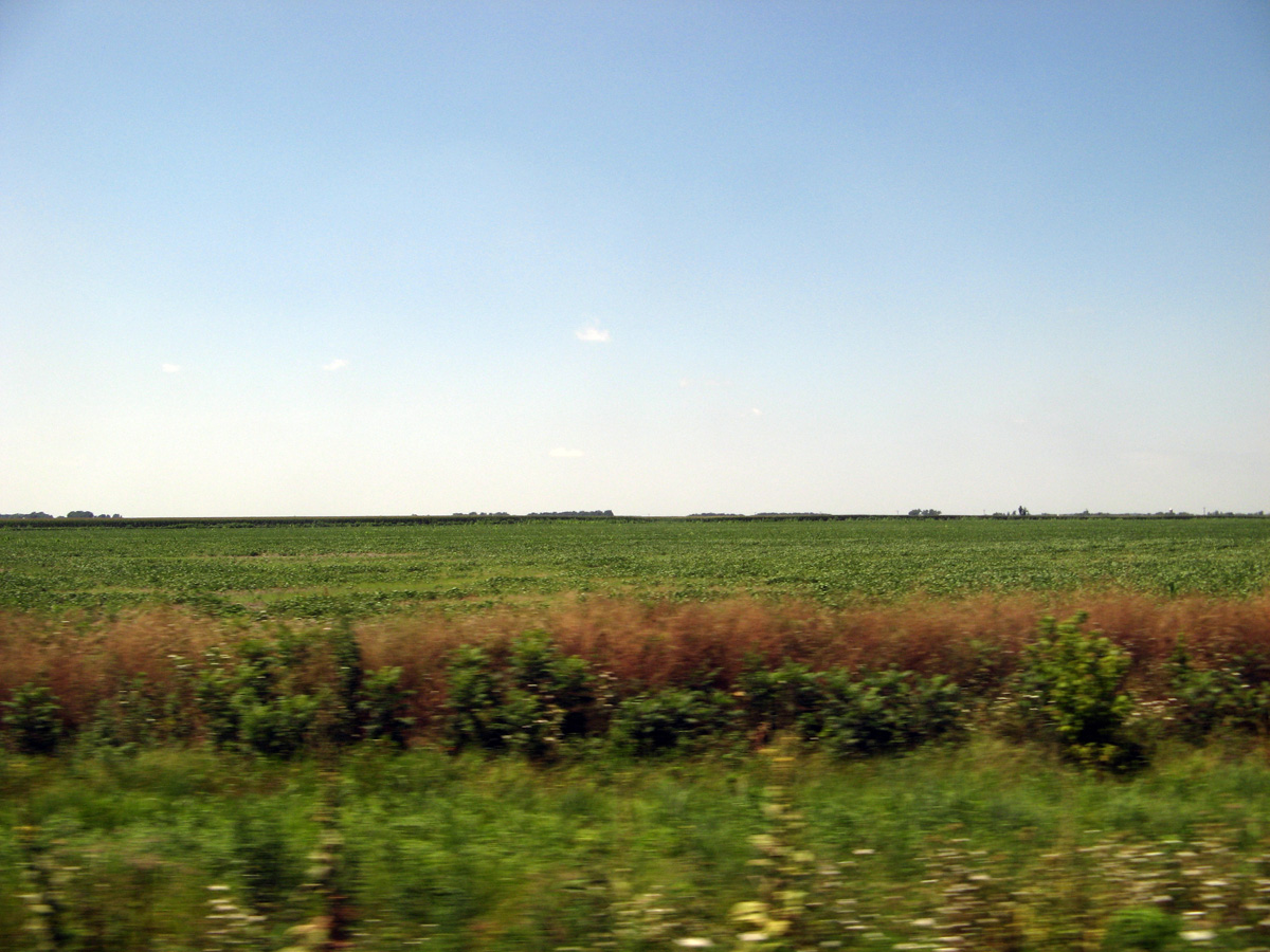 Other Chicago, Southern Illinois