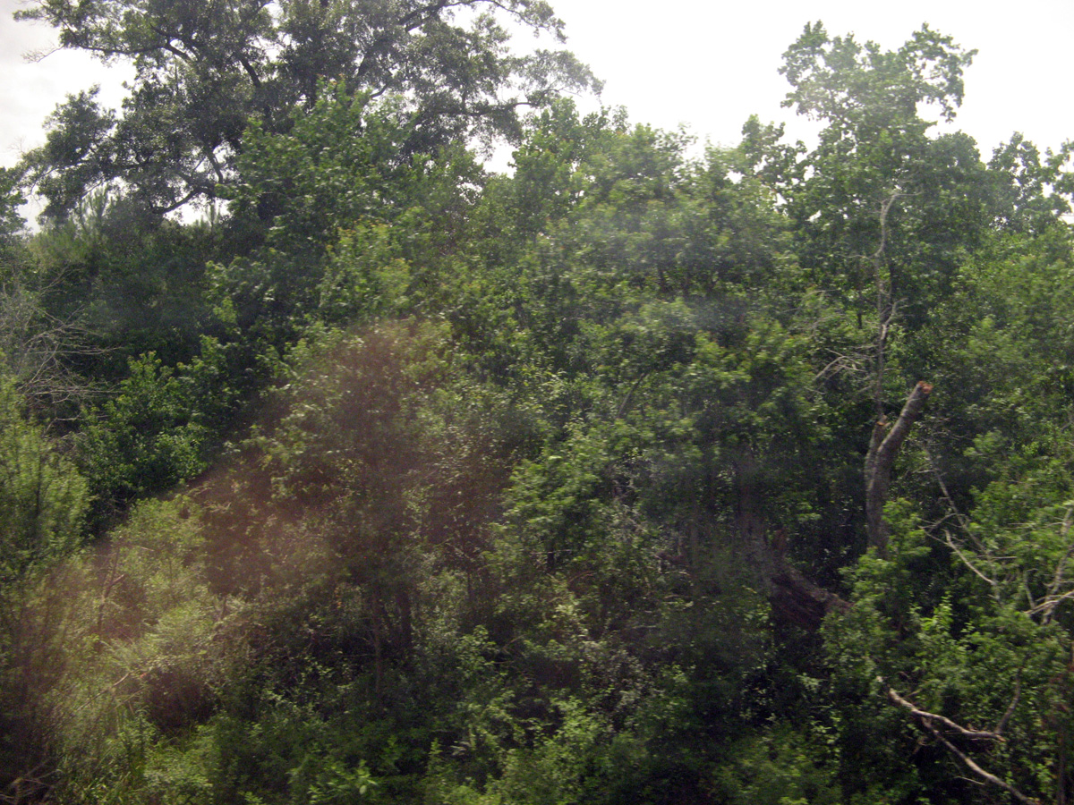 Vicksburg, Southern Mississippi