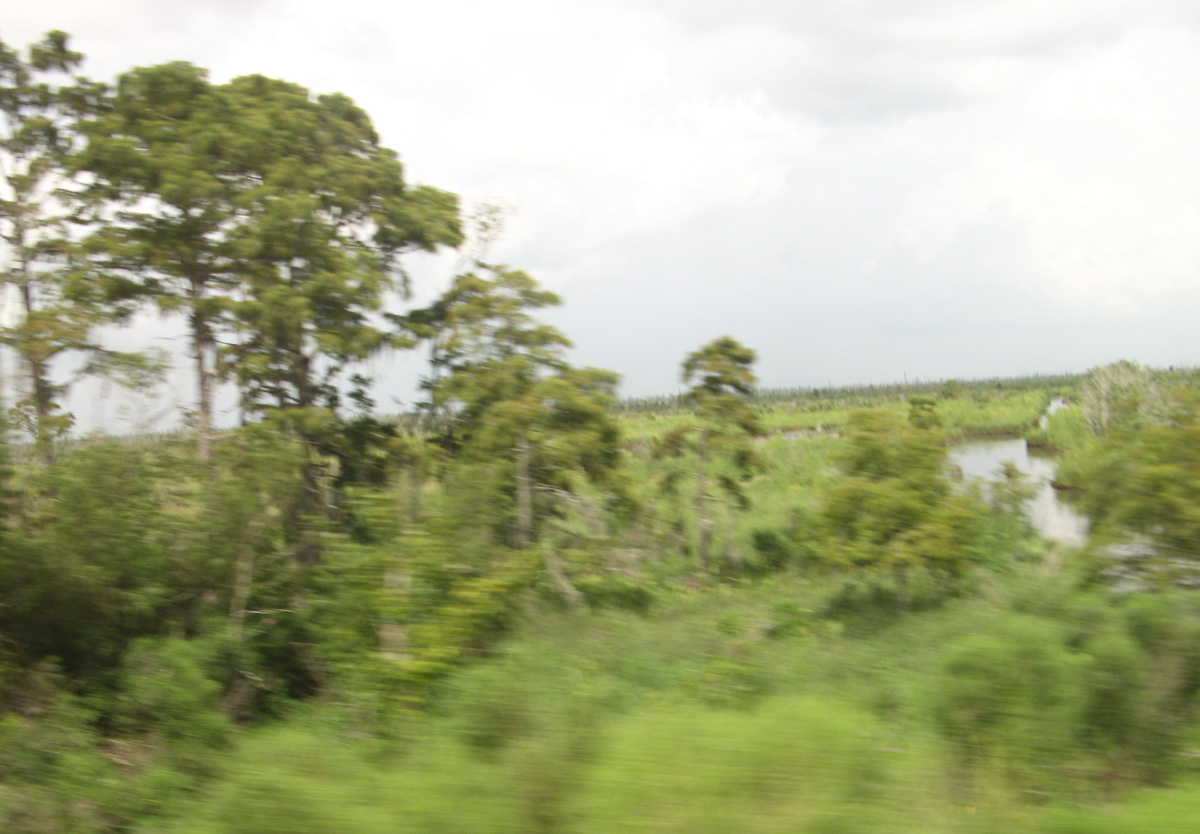 Vicksburg, Lousiana, 27 miles NW of New Orleans