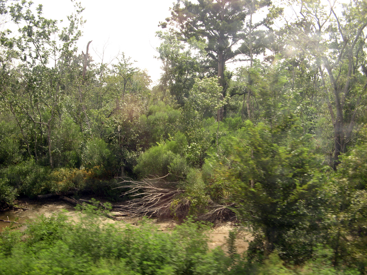 Vicksburg, Swampland, 14 miles NW of NOLA