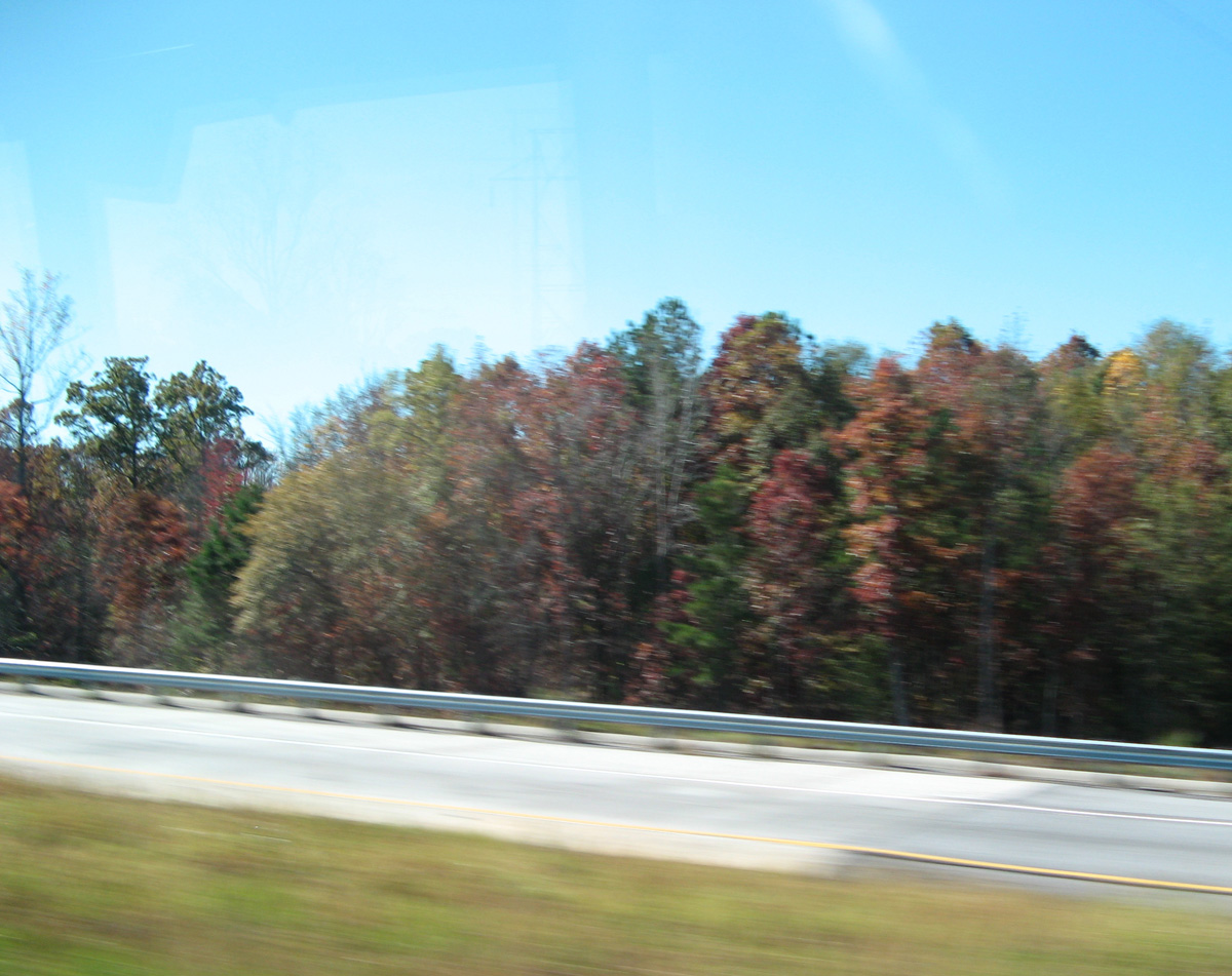 Atlanta 2009, 32 miles SE of Atlanta