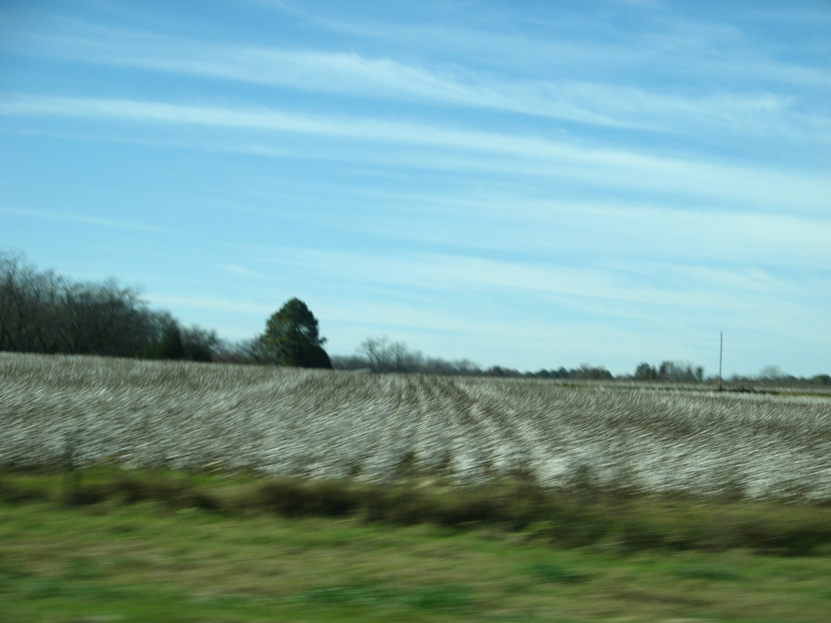 Atlanta 2009, Speeding by a cotton field. In central Georgia.