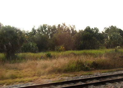 Amtrak Florida, Charleston 2009