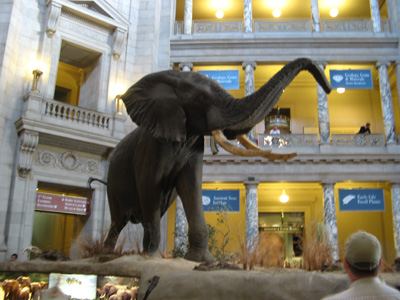 Smithsonian, Washington D.C. 2009