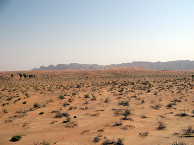 Dubai desert, Hatta, UAE 2009