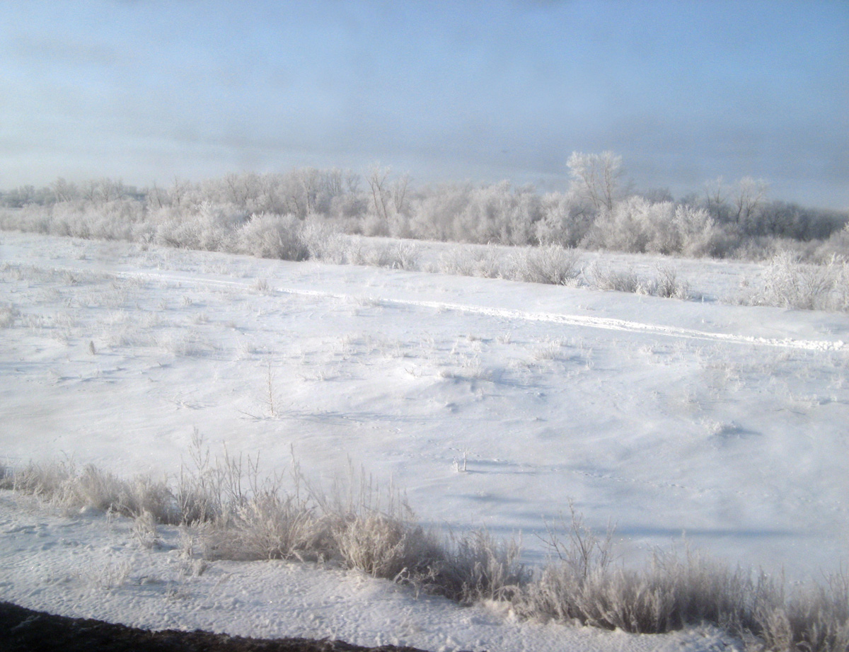 Kazakhstan 2009, 38 miles NW of Astana