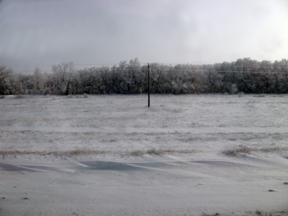 Kazakhstan 2009, 18 miles NW of Astana