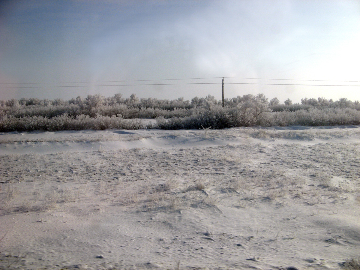 Kazakhstan 2009, 17 miles NW of Astana