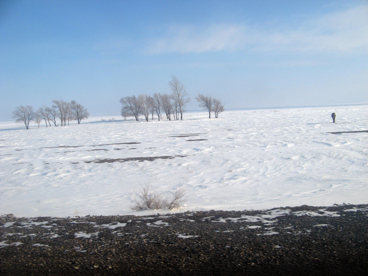 Erementau, Horse on frozen steppes