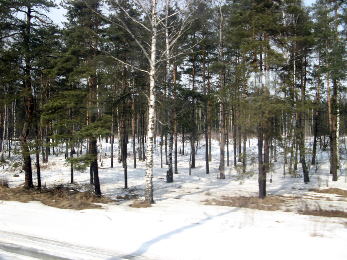 Nizhny Novgorod, Nizhny Novgorod to Moscow