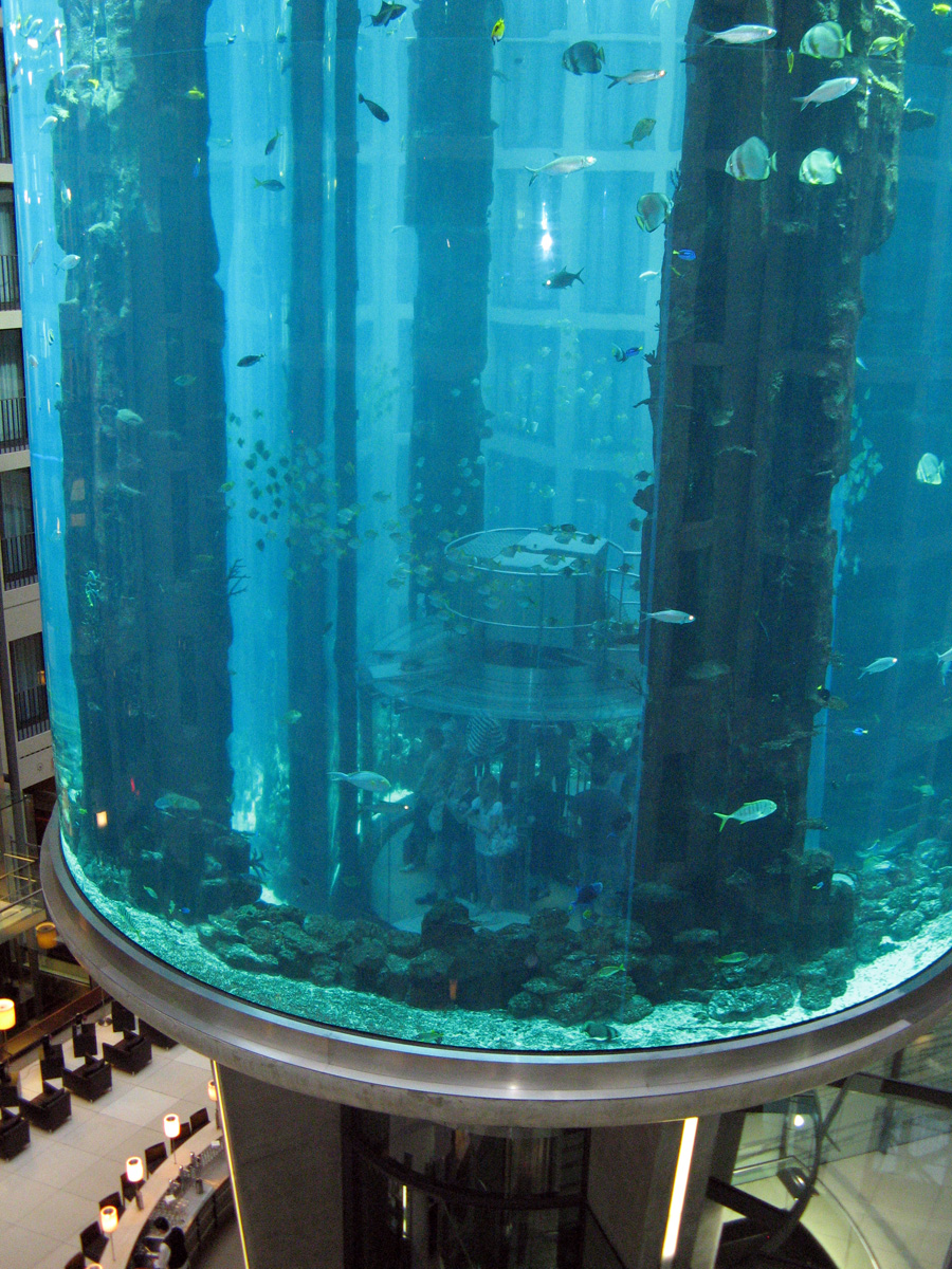 Berlin, The "Radisson of the Fishes"