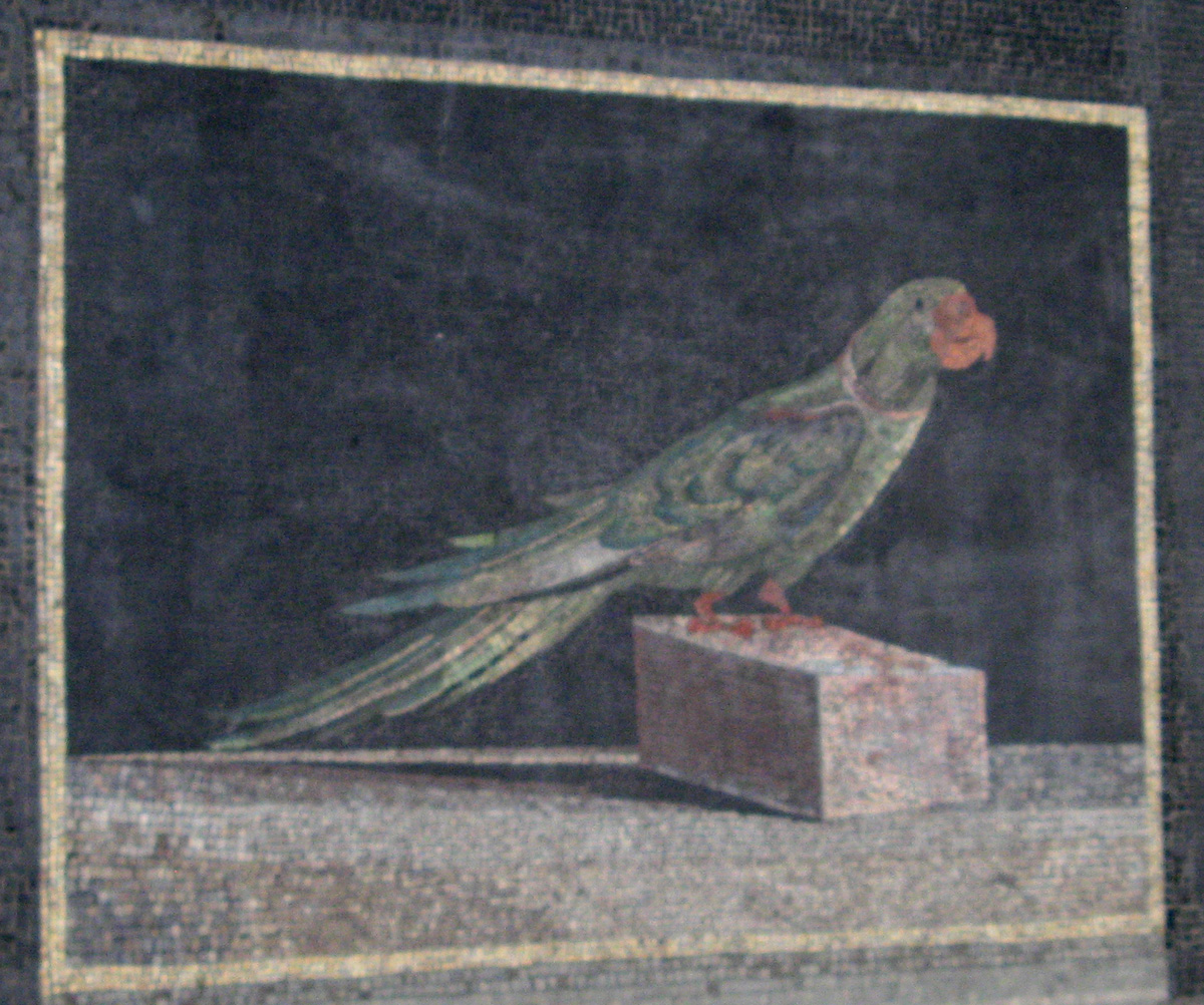Berlin, Pergammon: Mosaic Parrot