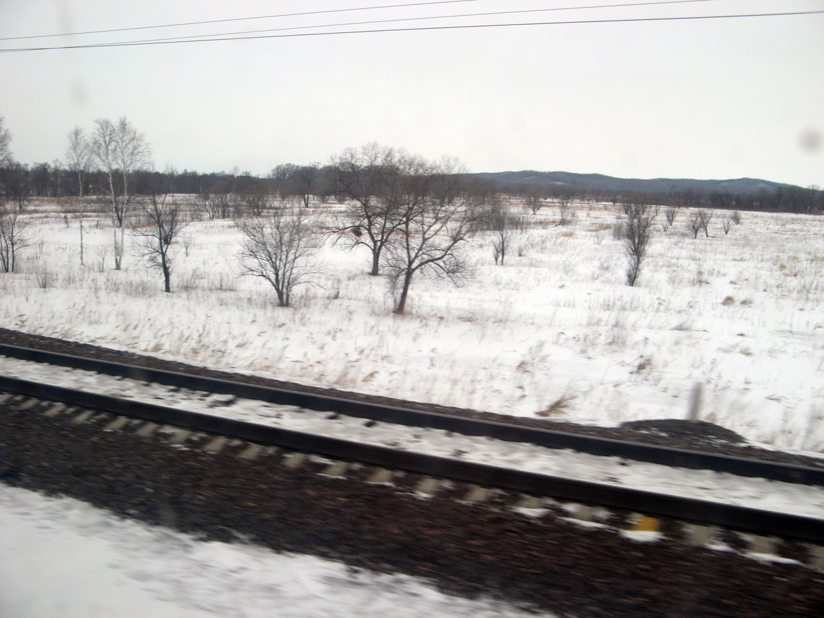 Vladivostok-Irkutsk, 63 miles South of Khabarovsk