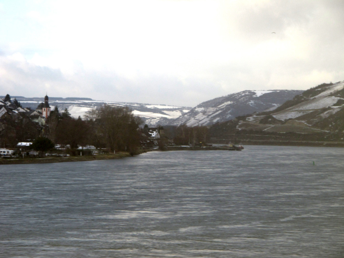 Rhine