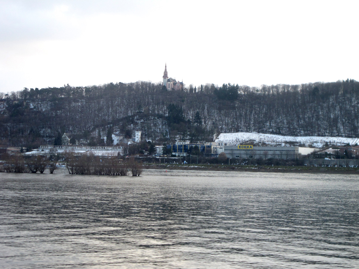 Rhine