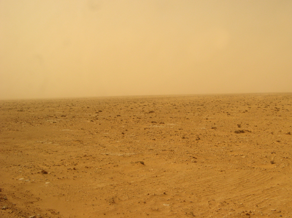 Siwa, Sahara, 23 m. SW of Marsa Matruh