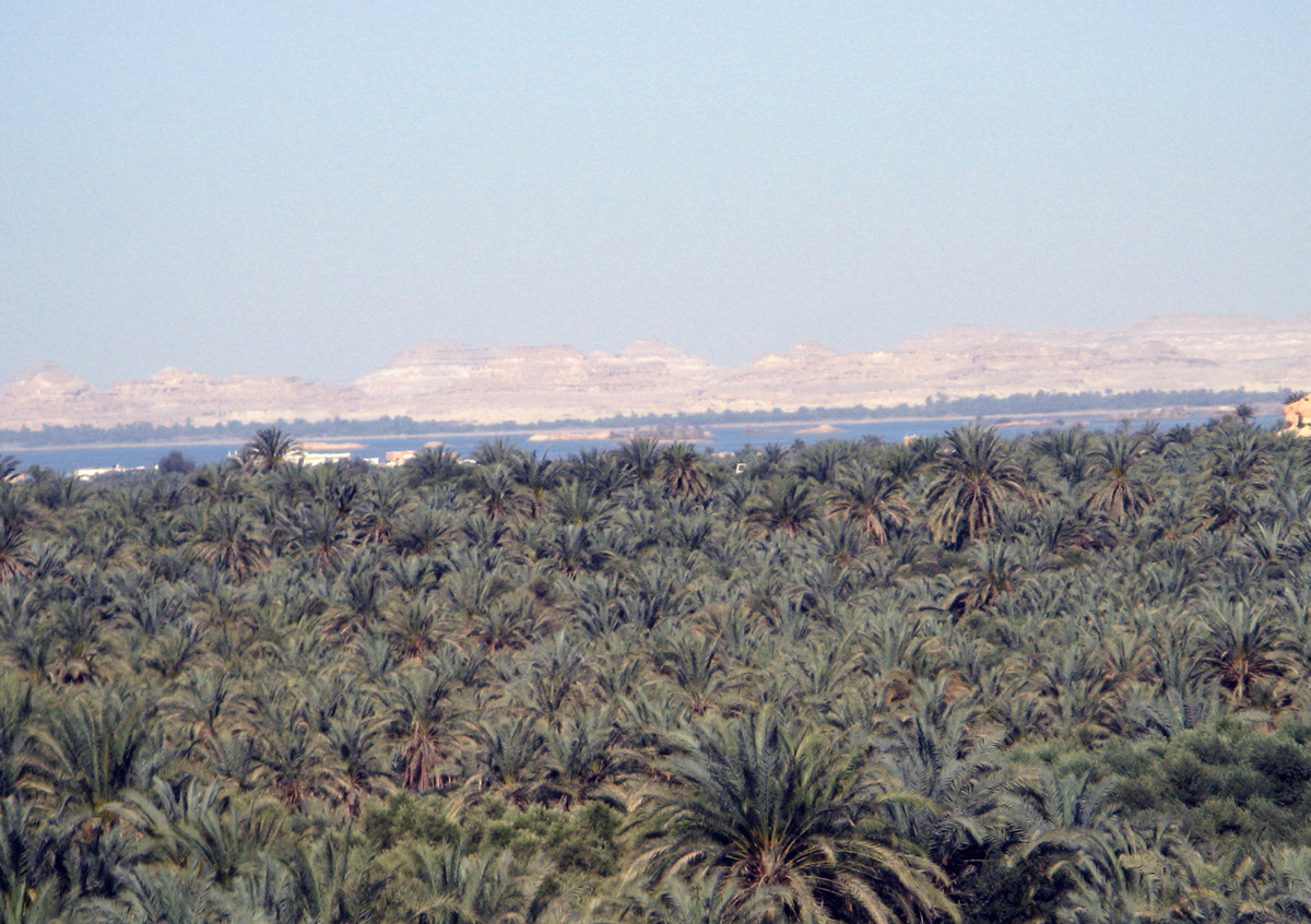 Siwa, Lake Siwa, from hilltop