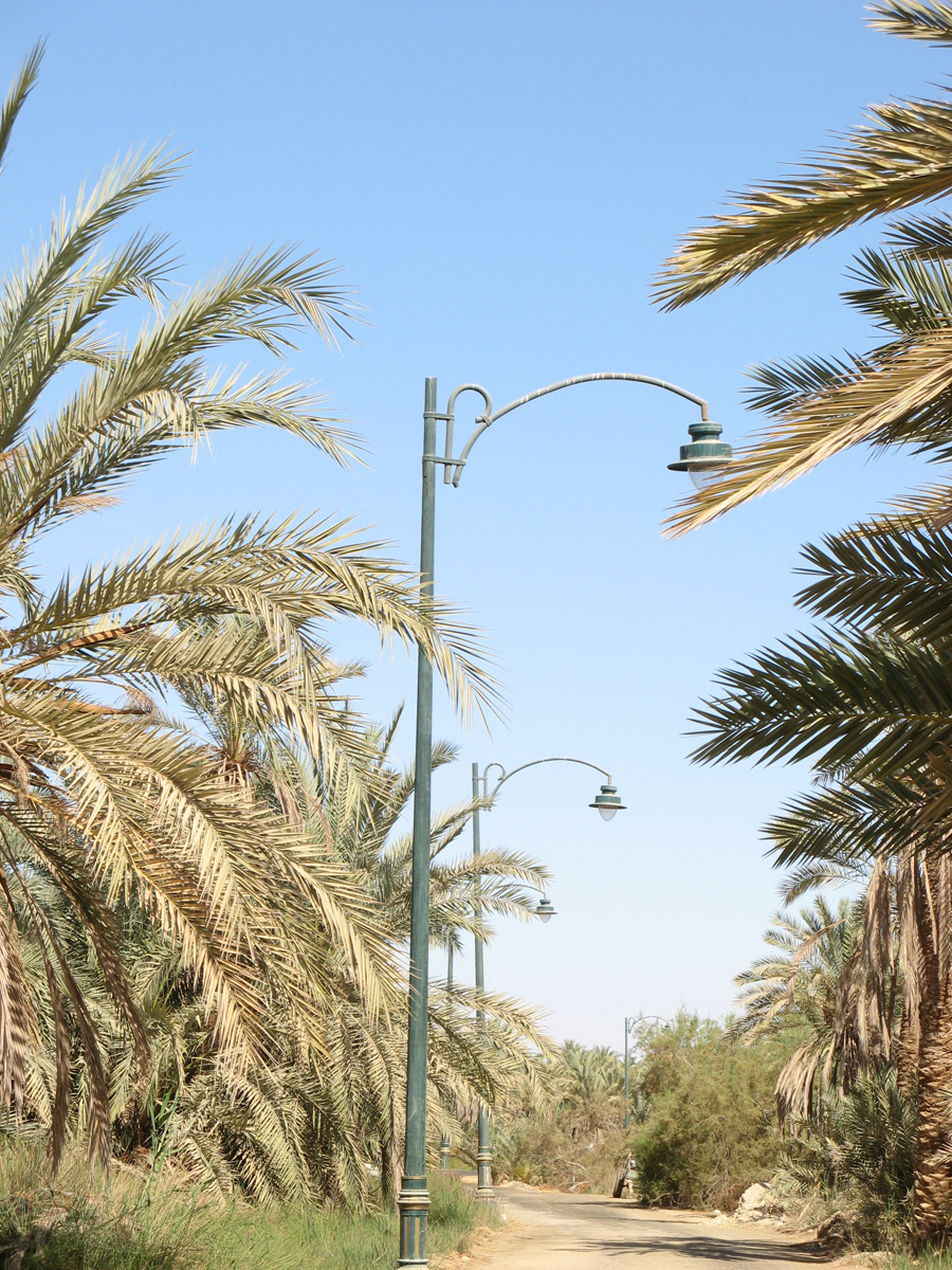 Siwa, The Great Guiding Lamp Posts