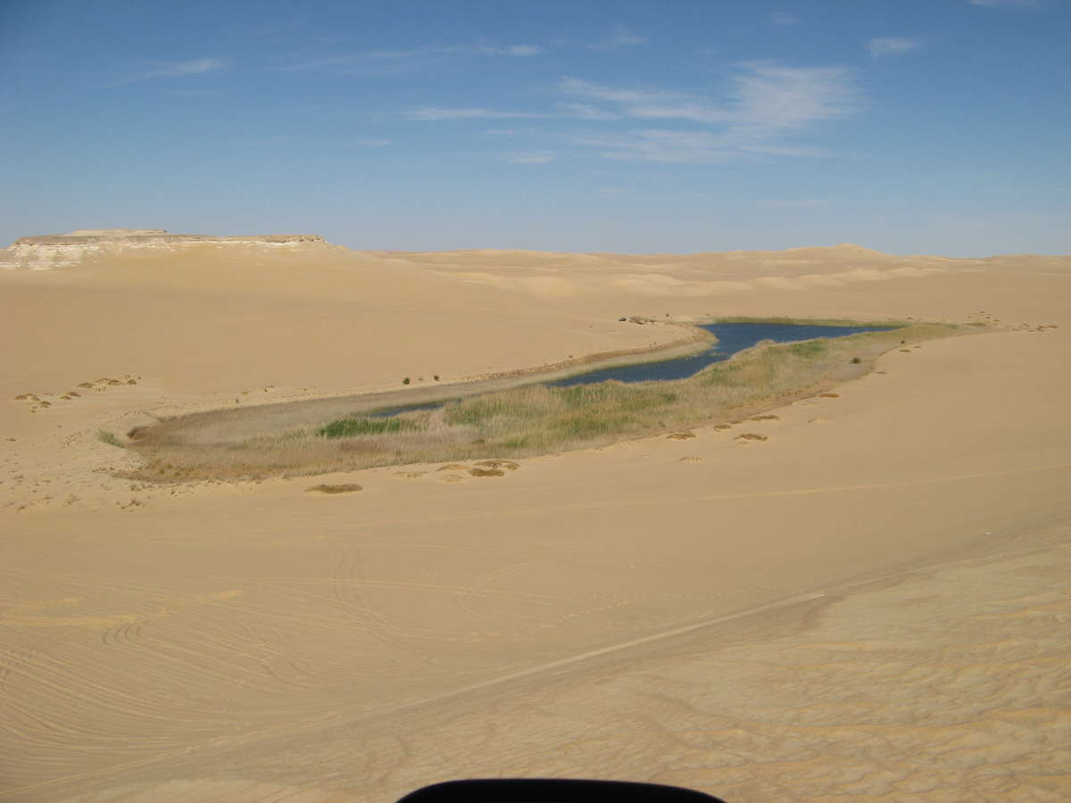 Siwa, "Cold Spring" Oasis