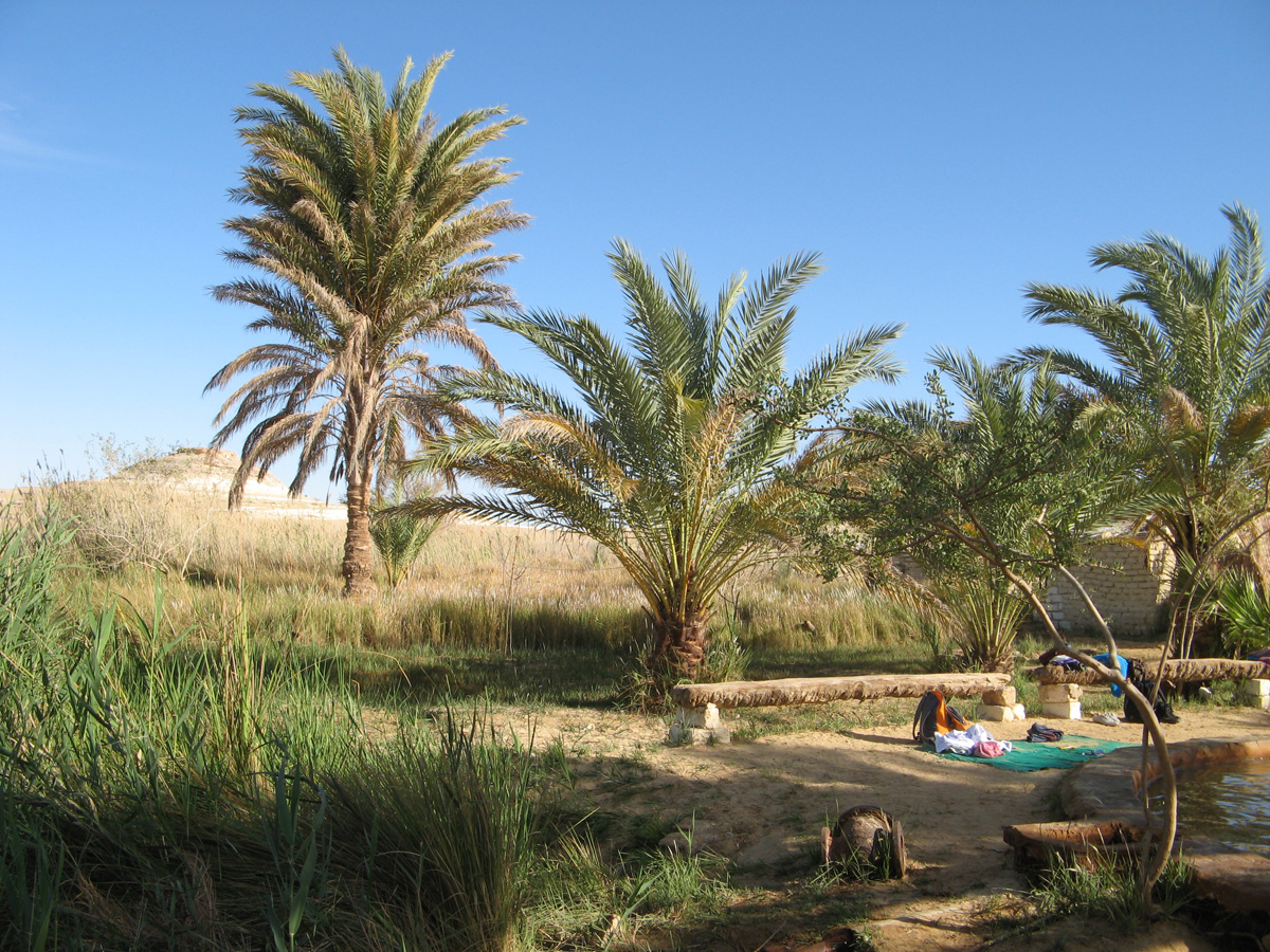 Siwa, Hot Spring Oasis