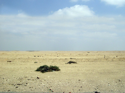 15 miles NW of Suez, Egypt 2010