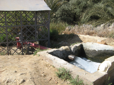 Modern irrigation, Siwa, Egypt 2010
